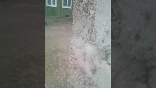 Страшные клыки смотреть онлайн