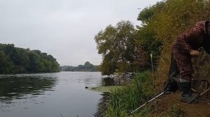 ЛЕЩ в ОКТЯБРЕ.РИС вместо ПЕНОПЛАСТА.Рыбалка на ФИДЕР.#рыбалка2022 #фидер #рыбалка #лещ #лещнафидер