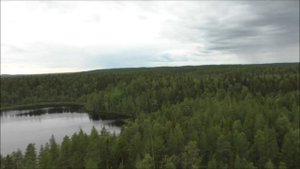 Карелия 2022 Чупинская Губа Белое море