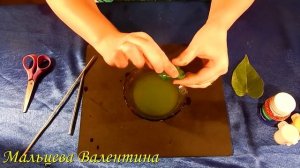 Антуриум Мужское счастье своими руками из полиморфуса