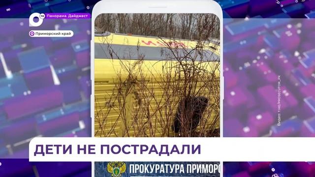 Школьный автобус с детьми вылетел в кювет в Приморье смотреть онлайн
