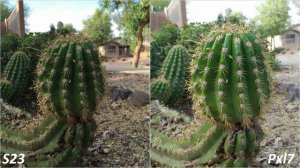 Samsung Galaxy S23 Ultra vs Google Pixel 7 Pro Camera Test Comparison