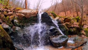 Теща визжала от восторга на банане зятя. Интересные истории из жизни. Аудио рассказы. Теща Сладкая