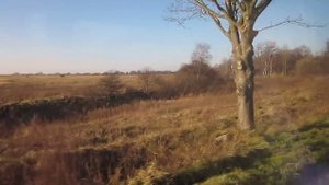 Калининградская. Посёлок Филино по пути в Донское