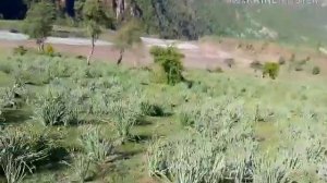 /на чонгуфтам на тангуфтам Ватан гуфтам Ватан гуфтам/