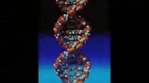 Иллюзия или Реальность ?   Страх или Любовь ?