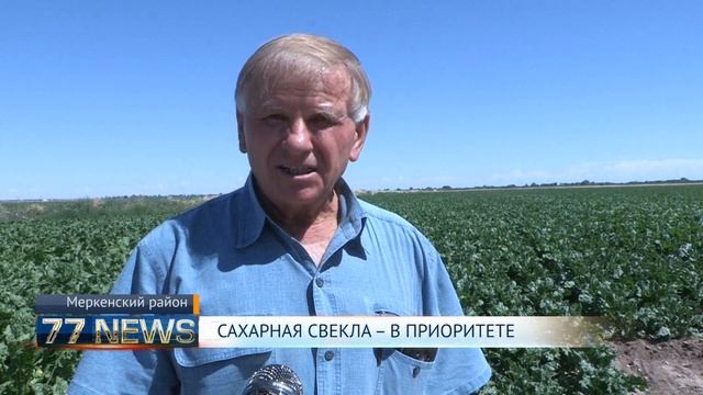 САХАРНАЯ СВЕКЛА – В ПРИОРИТЕТЕ