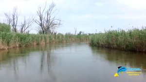 Рыболовная база отдыха «Глаголь»