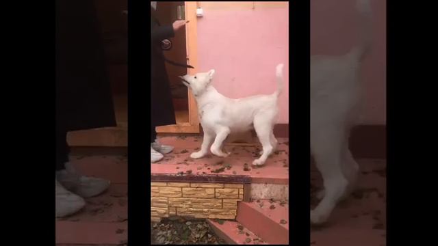 Кто готов стать фин. куратором Зевсу?вся информация под видео. смотреть онлайн