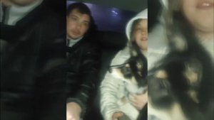 Cобака в Яндекс Такси / Надо ли платить за перевозку животного?