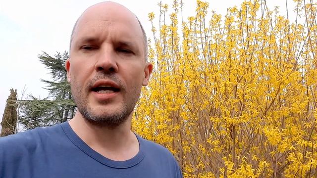 Как животные узнают, что наступила весна? Влияет ли весна на человека? Что такое фотопериодизм?