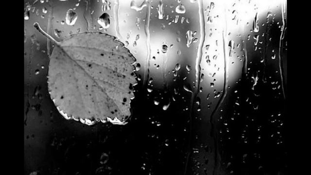 МОЛИТВА ЗА КАЖДОГО ИНОГО, ЧТО БЫЛ ПРОКЛЯТ #НаянаБелосвет смотреть онлайн