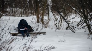 2017 г. Балашиха. Зима в Павлино. Прогулка по Павлино и Павлинскому парку. Часть 2.