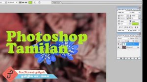 How to use Text tool in Photoshop - Tamil (போட்டோசாப் தமிழில்)