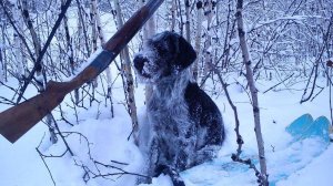 Устранение шата стволов ТОЗ-34. Замена рамки запирания( запорной планки).