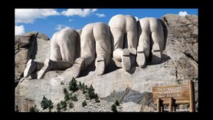 Аквариум   Плоскость