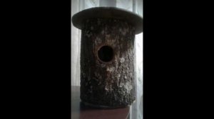 Дуплянка своими руками?