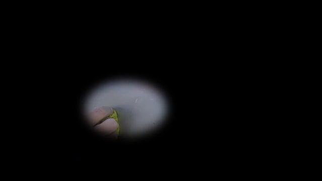 Как удалить клей от скотча с машины / Удалить скотч смотреть онлайн