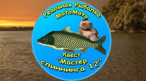 Квест "Мастер спиннинга 12" [NEW] | Реальная Рыбалка