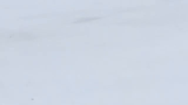 СВП Бриз 380 в районе Рыбинска/ Hovercraft Breeze смотреть онлайн