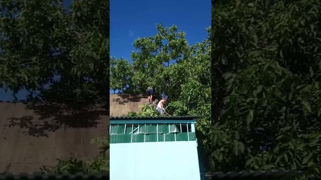 Замена шифера на металлочерепицу смотреть онлайн