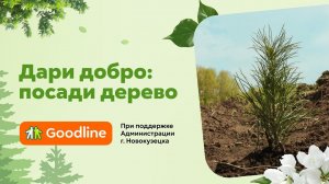 «Дари добро: посади дерево» вместе с Goodline. Май 2023