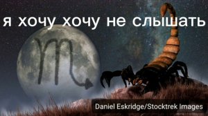 Я схожу с ума мерцая я полярная звезда