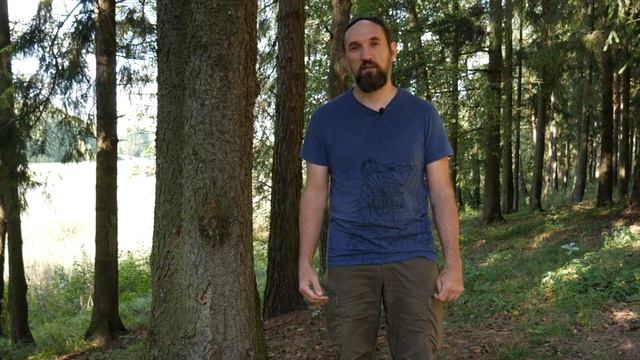 Испытания в Славянской Традиции. [Ведзнич]