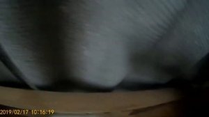 Шифер недает конденсат