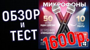 Обзор Vita Musica E-58 Duo - 2 беспроводных радиомикрофона для караоке за 1600р