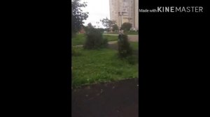 Поставили руль от трюкового самоката на обычный самик (новое видео)