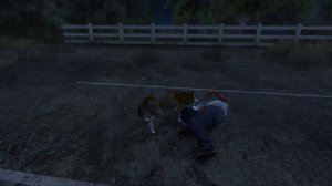 Лофофора - Лайка - Grand Theft Auto V (PC)