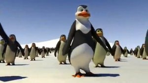Schiffie & Co Penguin Dance