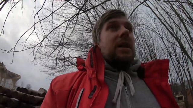 Как выбрать щенка?! Самые важны моменты в выборе щенка и заводчика. смотреть онлайн