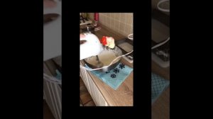 Конфеты птичье молоко. Рецепт птичьего молока.