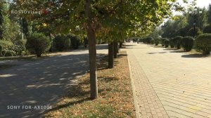 SONY FDR-AX100E тест ПЛАВНОСТИ видео Ultra HD 25p