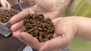 Жительница Ульяновска производит корм для животных