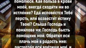 СЕГОДНЯ СБЫВАЮТСЯ НЕВЕРОЯТНЫЕ ПРОСЬБЫ. Вечерние молитвы слушать онлайн. Вечернее правило