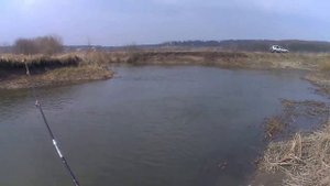 Открываем сезон рыбалки 2017,попыткой ловли голавля на куриную печень.