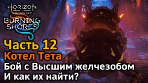 Horizon FW | Пылающие берега | Часть12 | Котел Тета | Бой с Высшим желчезобом | Как найти желчезобов