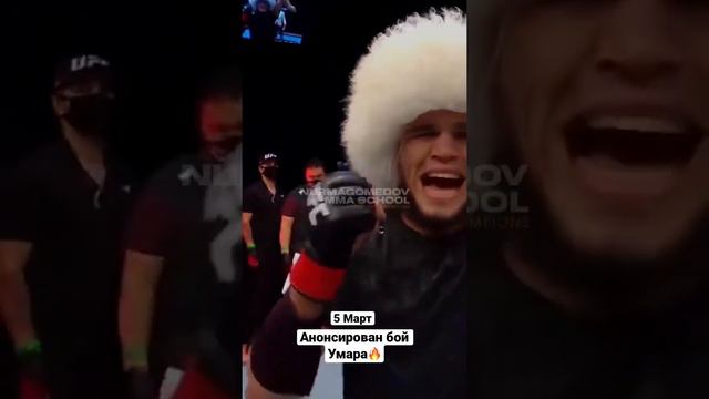 Умар Нурмагомедов | 5 марта | UFC  🔥