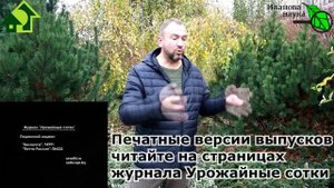 НЕ ВНОСИТЕ НАВОЗ, пока не посмотрите ЭТО ВИДЕО! ГДЕ и КОГДА НЕЛЬЗЯ ВНОСИТЬ НАВОЗ.