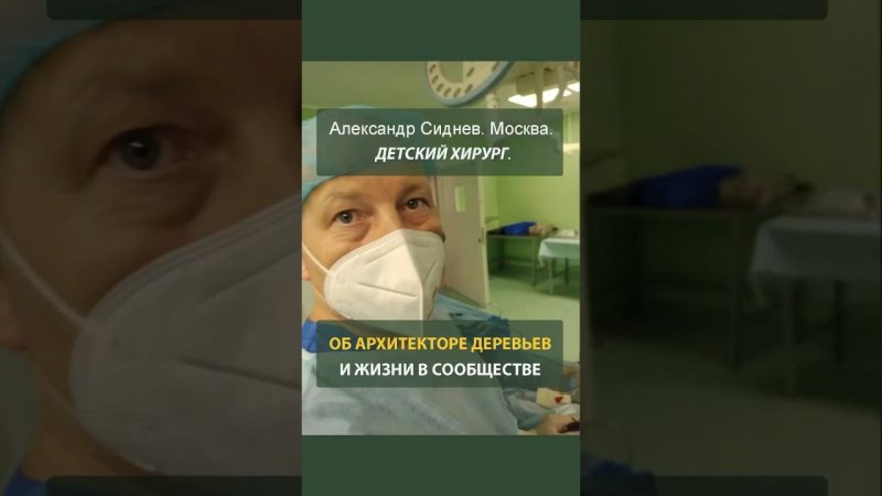 Отзыв о курсе «Архитектор Деревьев»