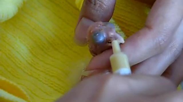 Птенец суринамского амазона. смотреть онлайн