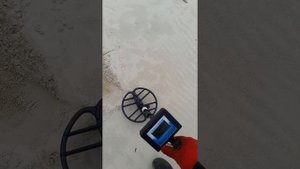 Фортуна М. Большой реальный коп с металлоискателем.