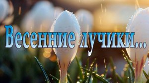 Весенние лучики*   Мой сад