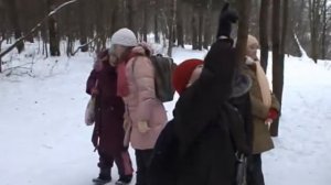 Лесные уроки в начальной школе. Н.В.Катренко