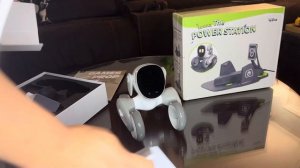 Unboxing LOONA AI Robot Pet