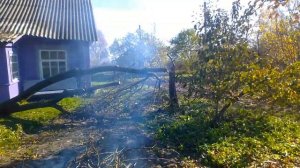 Как срезать дерево возле дома без последствий. День в белорусской деревне. Belarus