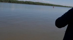 КРАСНОЯРКА дарит много рыбы. Рыбалка в Омской области.